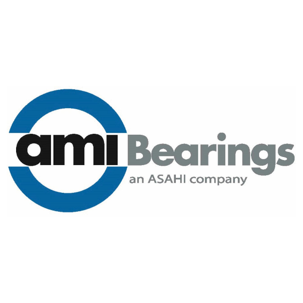 AMI BEARING